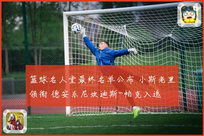 篮球名人堂最终名单公布 小斯老里领衔 德安东尼坎迪斯-帕克入选